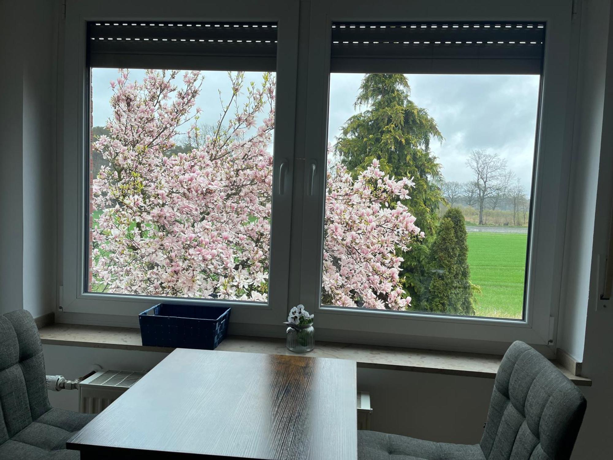 Wunderschoene Ferienwohnung Mit Balkon Auf Dem Bauernhof جريفن المظهر الخارجي الصورة